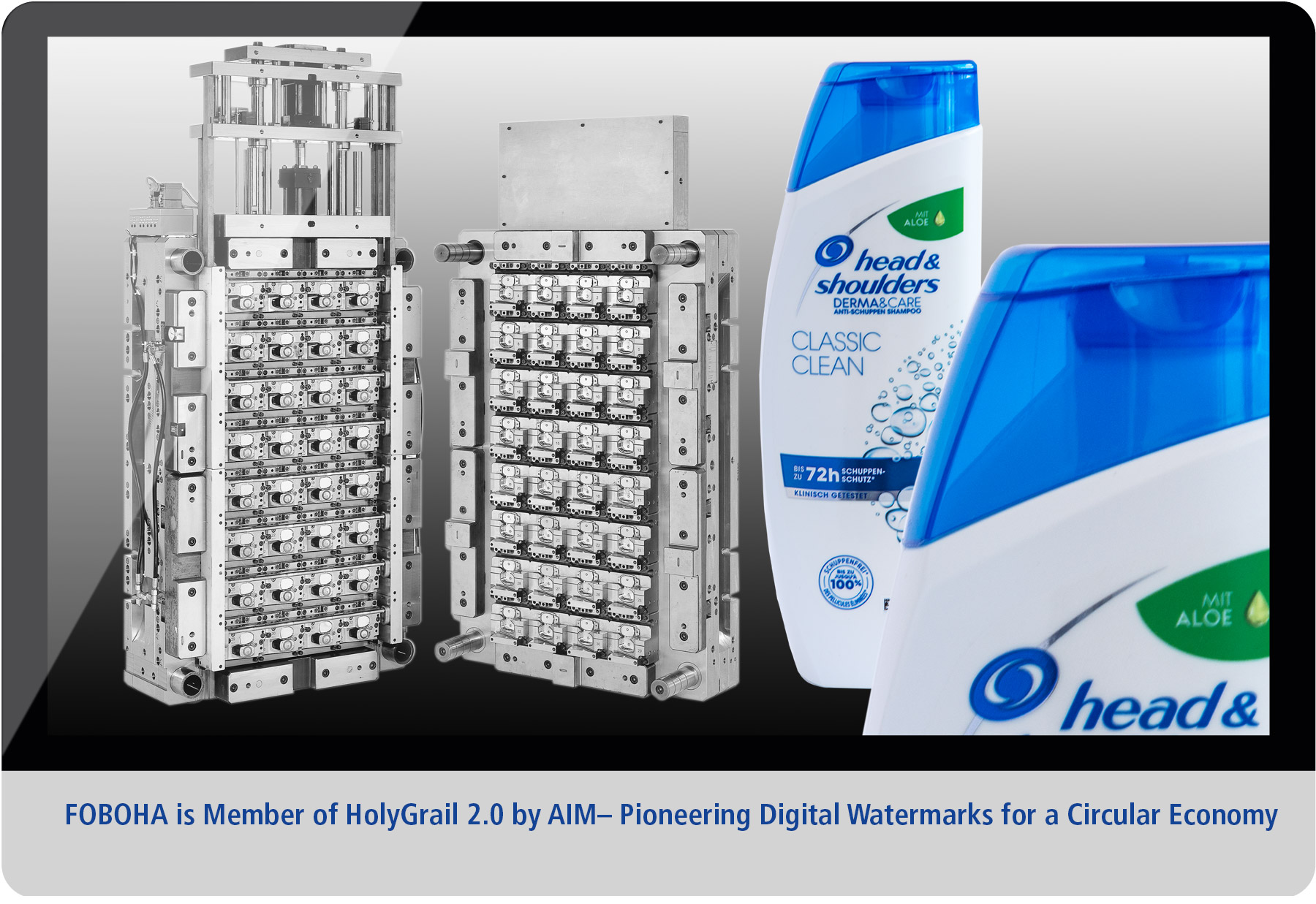 HolyGrail 2.0 by AIM- Pioneering Digital Watermarks